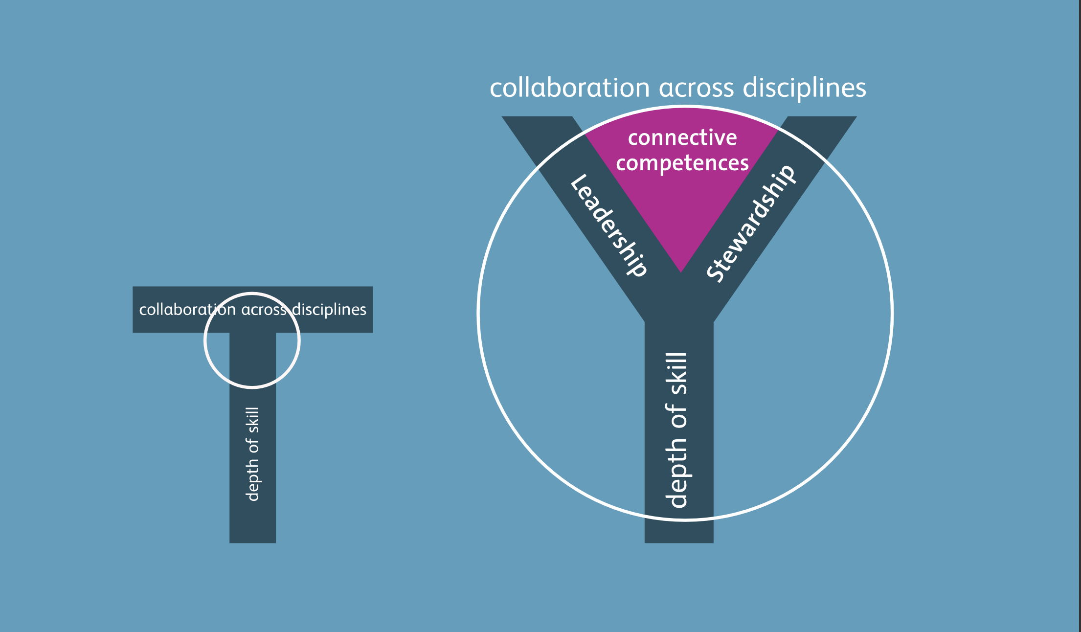 The Y-Shaped Designer—Connective Competences as Key to